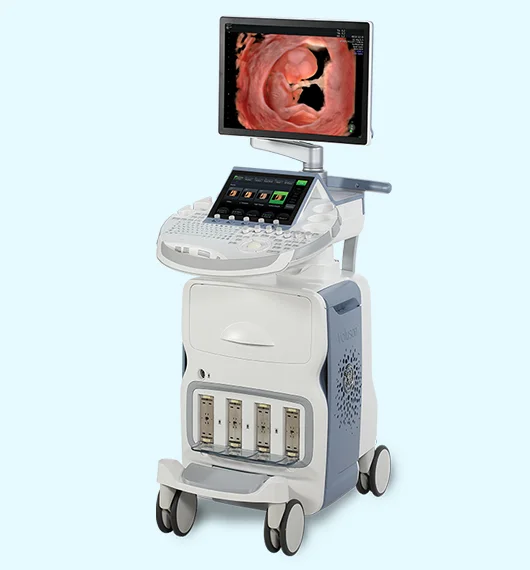 Dr Rupali's Medical & Diagnostics - 4D Colour Ultrasound in South Delhi