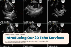 2D Echo Services in South Delhi at Dr. Rupali's Medical & Diagnostics