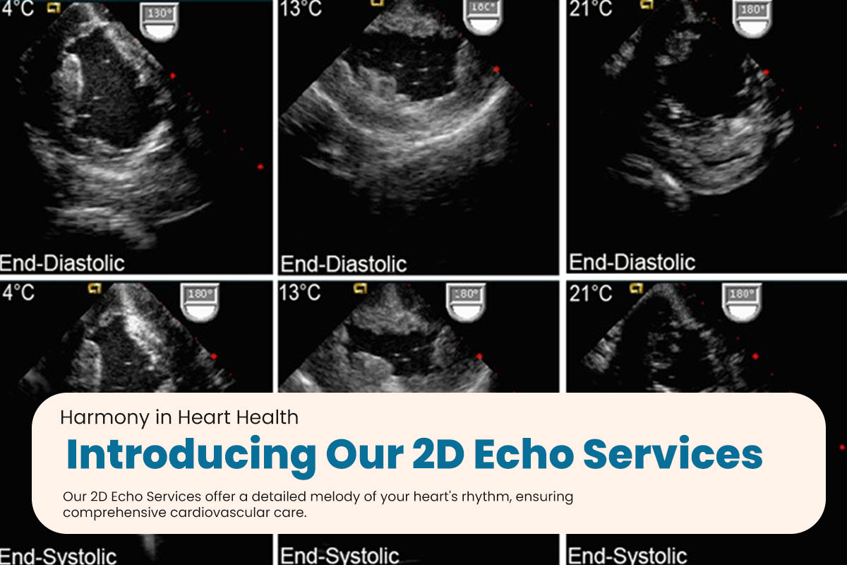2D Echo Services in South Delhi at Dr. Rupali's Medical & Diagnostics